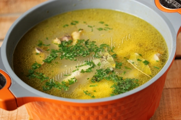 Фото супа из куриных потрошков