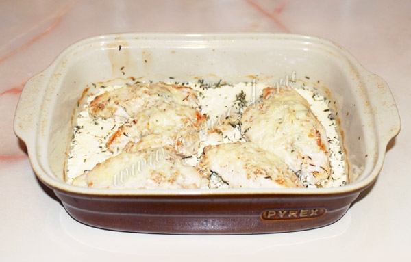 фото запеченных куриных грудок в сливочном соусе