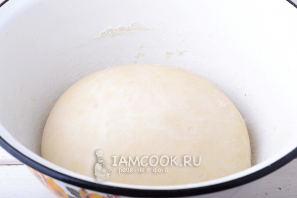 Подошедшее тесто