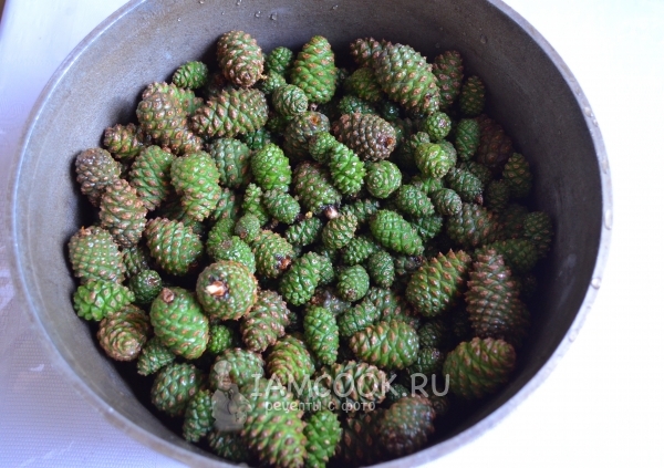 Положить шишки в кастрюлю