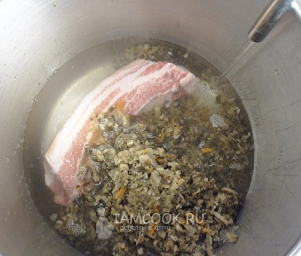 Положить в воду мясо и кисленицу