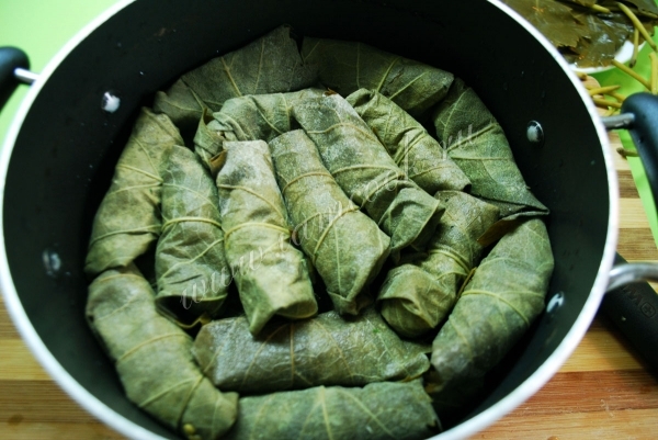 Приготовление долмы