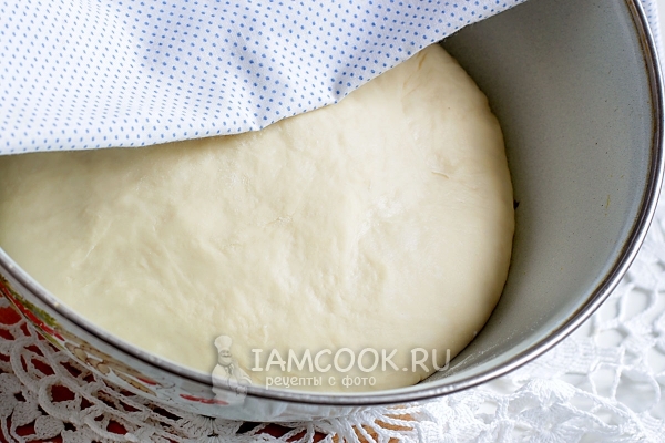 Рецепт сдобного теста для пирога