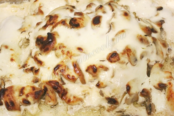 Филе курицы в сметане, фото