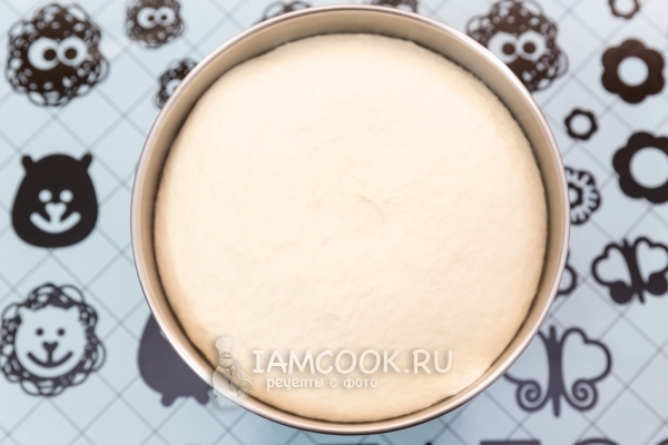 Подошедшее тесто