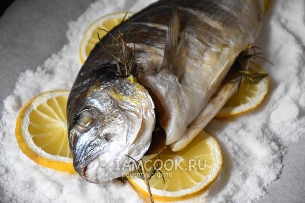 Рецепт дорадо на подушке из соли и лимонов