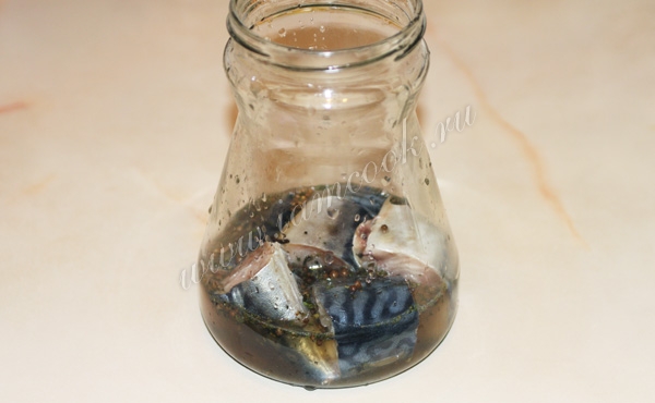 Соление скумбрии по домашнему