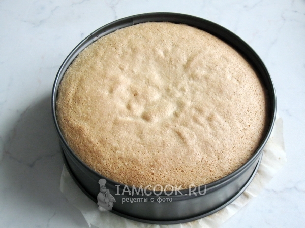 Бисквит для торта Шкатулка