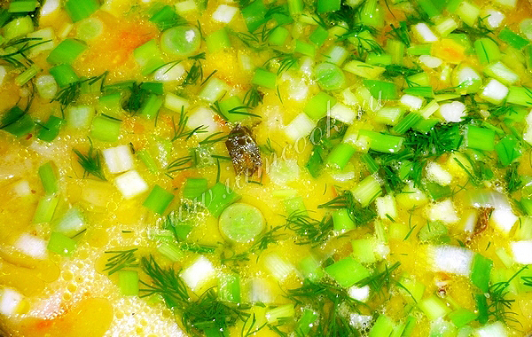 Готовим суп из сыра и плавленного сырка