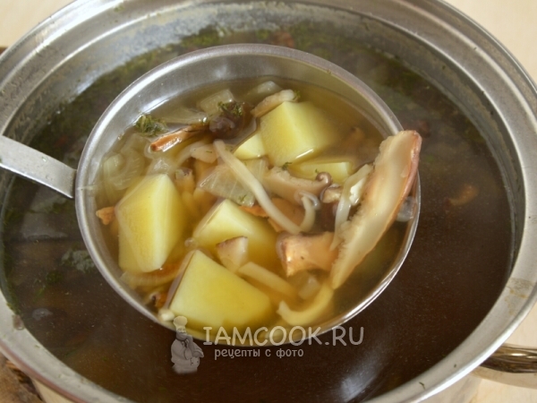 Рецепт супа из сушеных белых грибов