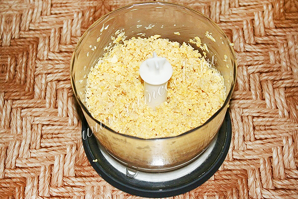 Измельчённый в блендере нут