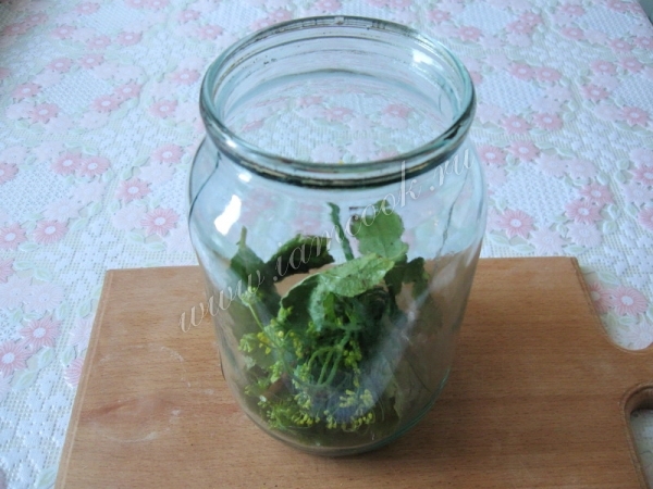 Зелень в банке