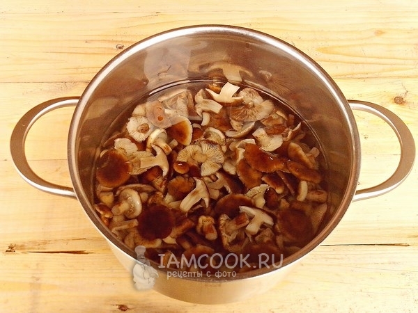 Залить грибы водой