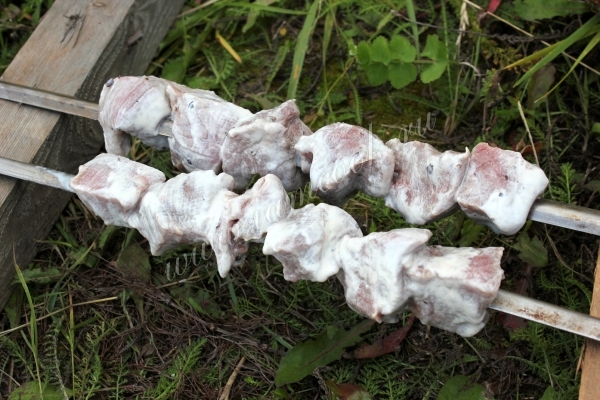 Шашлык на шампурах