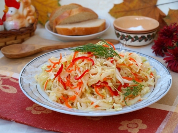 Фото быстрой капусты Провансаль