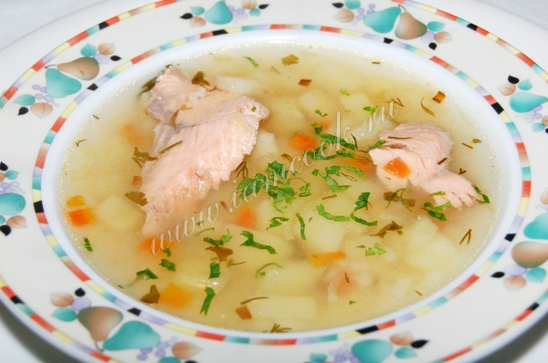 Рецепт ухи из горбуши