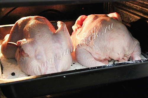 запекание курицы в соли