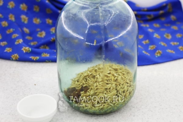 Овес и изюм