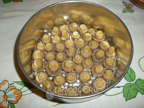 Выложить слой грибов