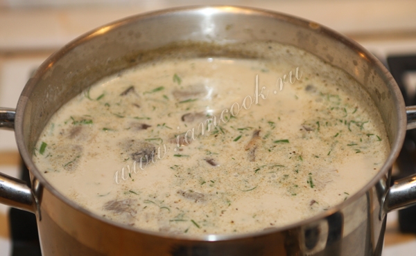 сырный суп с белыми грибами фото