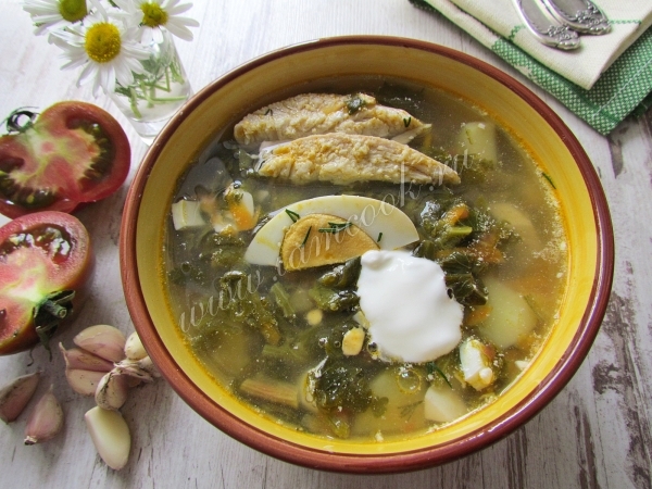 Зеленый борщ с щавелем