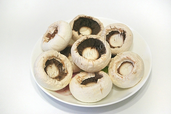 Грибы шампиньоны