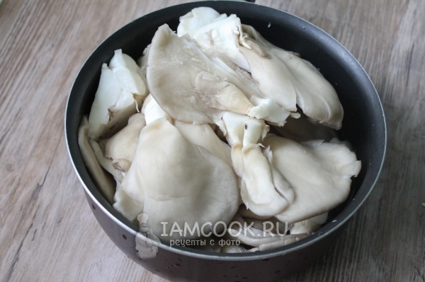 Положить вешенки в кастрюлю с водой