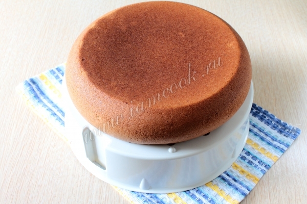 Бисквит для торта Прага