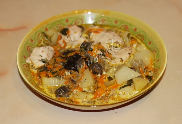 Жаркое из индейки с грибами в тарелке