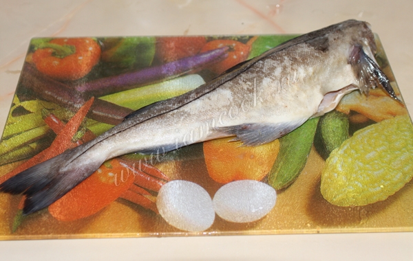 Фотография рыбы Пикша