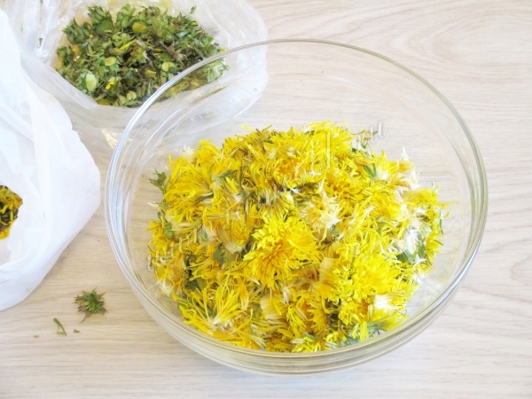 Лепестки одуванчиков