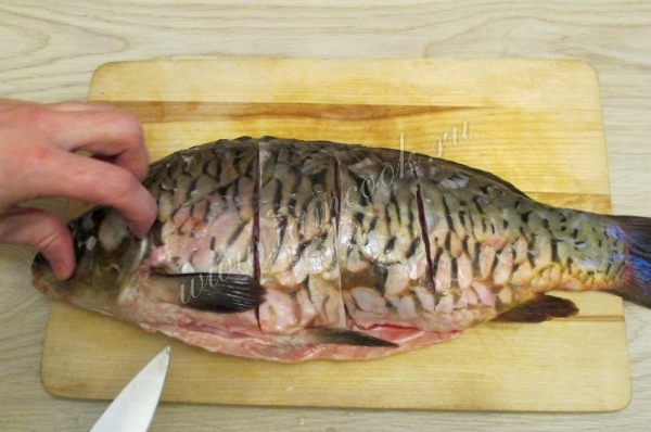 Надрезы на карпе