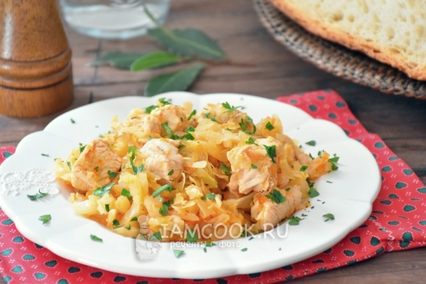 Фото тушеной капусты с индейкой