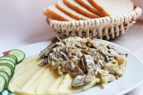 Рецепт кабачков тушеных с грибами