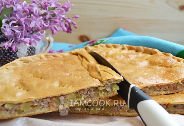 Фото курника с мясом и картошкой