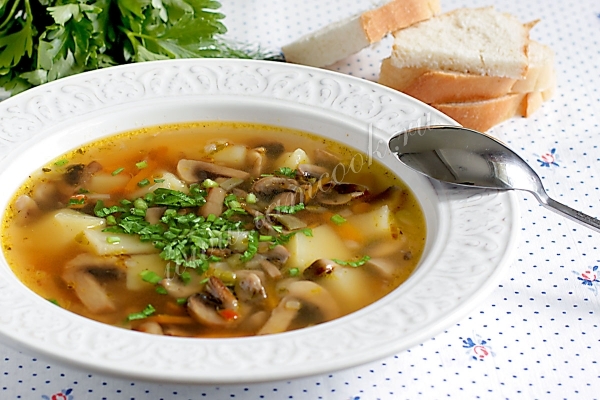Рецепт грибного супа из шампиньонов