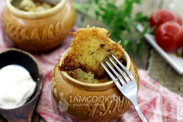 Фото драников в горшочке