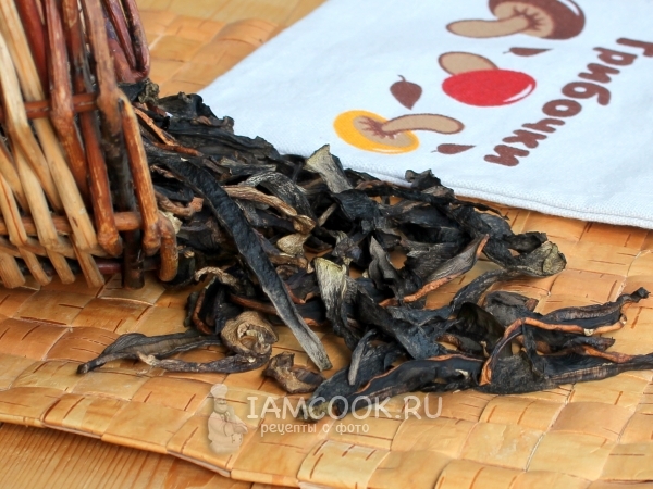 Сушка грибов в сушилке, рецепт с фото