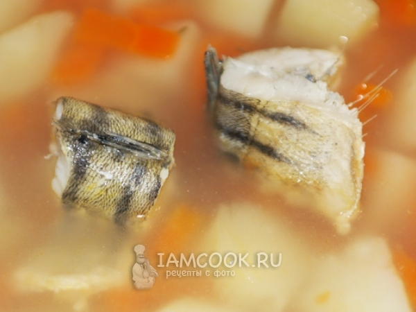 Уха из судака по-домашнему, рецепт с фото