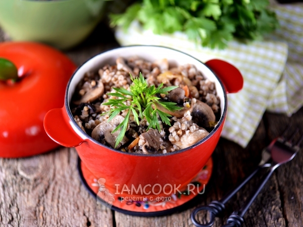 Гречка с грибами и курицей в горшочке (в духовке), рецепт с фото