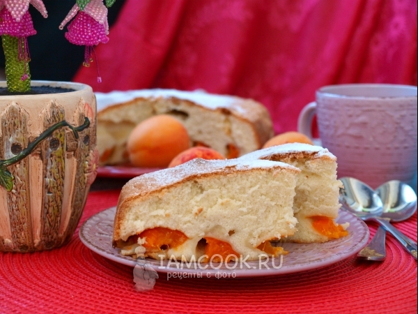 Шарлотка с абрикосами, рецепт с фото