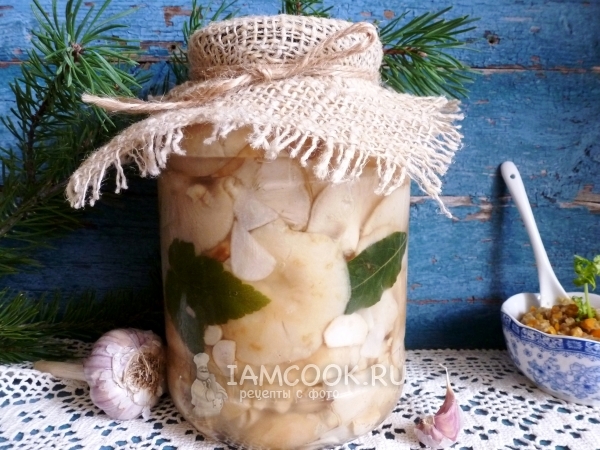 Грузди соленые холодным способом, рецепт с фото