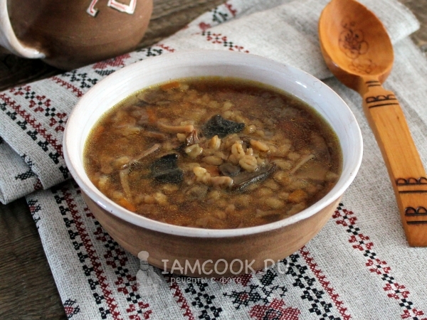 Грибной суп из сушеных грибов с перловкой, рецепт с фото