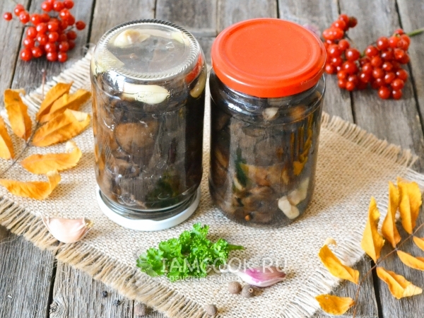 Свинушки маринованные на зиму, рецепт с фото