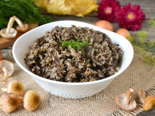 Грибной фарш из лесных грибов, рецепт с фото