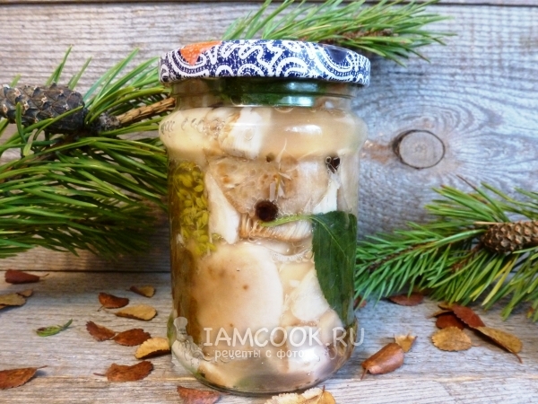 Засолка сыроежек горячим способом, рецепт с фото