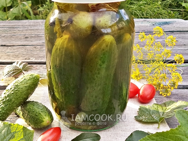 Огурцы под капроновой крышкой на зиму, рецепт с фото