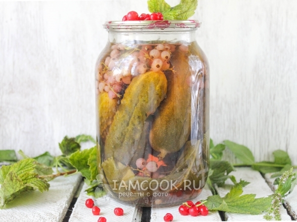 Огурцы с красной смородиной на зиму, рецепт с фото