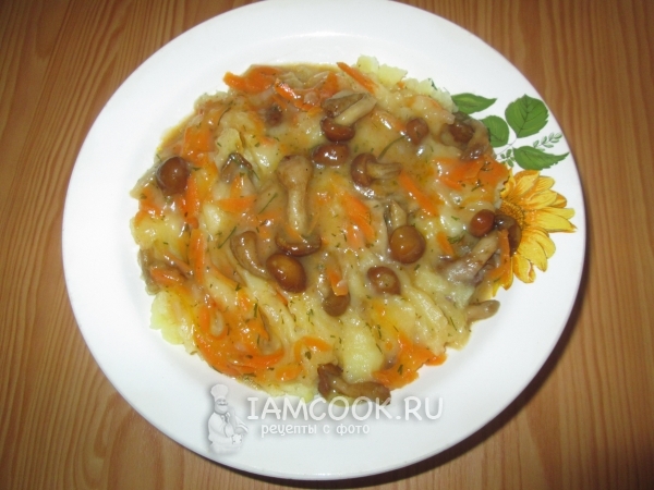 Грибная подлива из опят, рецепт с фото