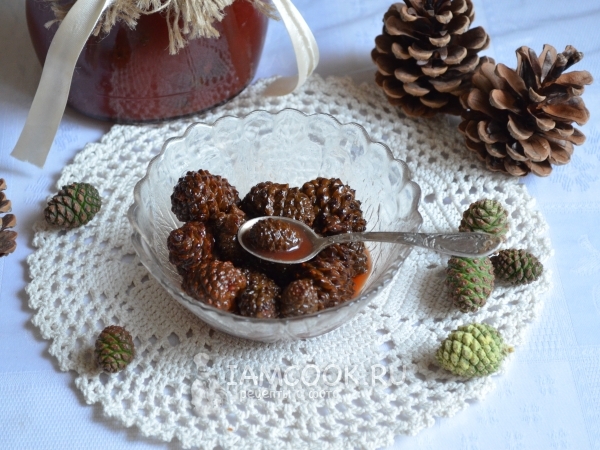 Варенье из молодых сосновых шишек, рецепт с фото